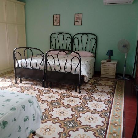 Il Cactus Bed & Breakfast San Giovanni Incarico Eksteriør bilde