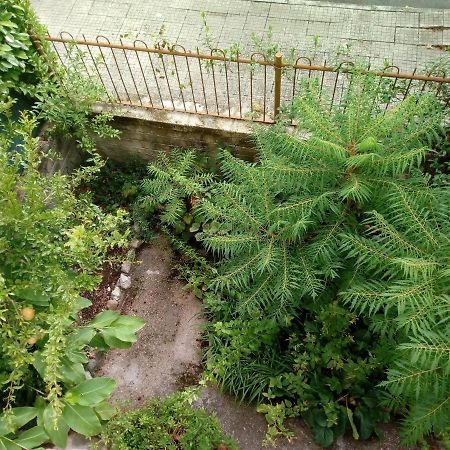 Il Cactus Bed & Breakfast San Giovanni Incarico Eksteriør bilde