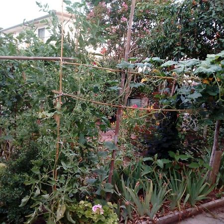 Il Cactus Bed & Breakfast San Giovanni Incarico Eksteriør bilde