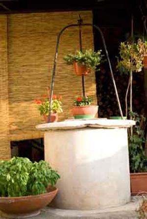 Il Cactus Bed & Breakfast San Giovanni Incarico Eksteriør bilde